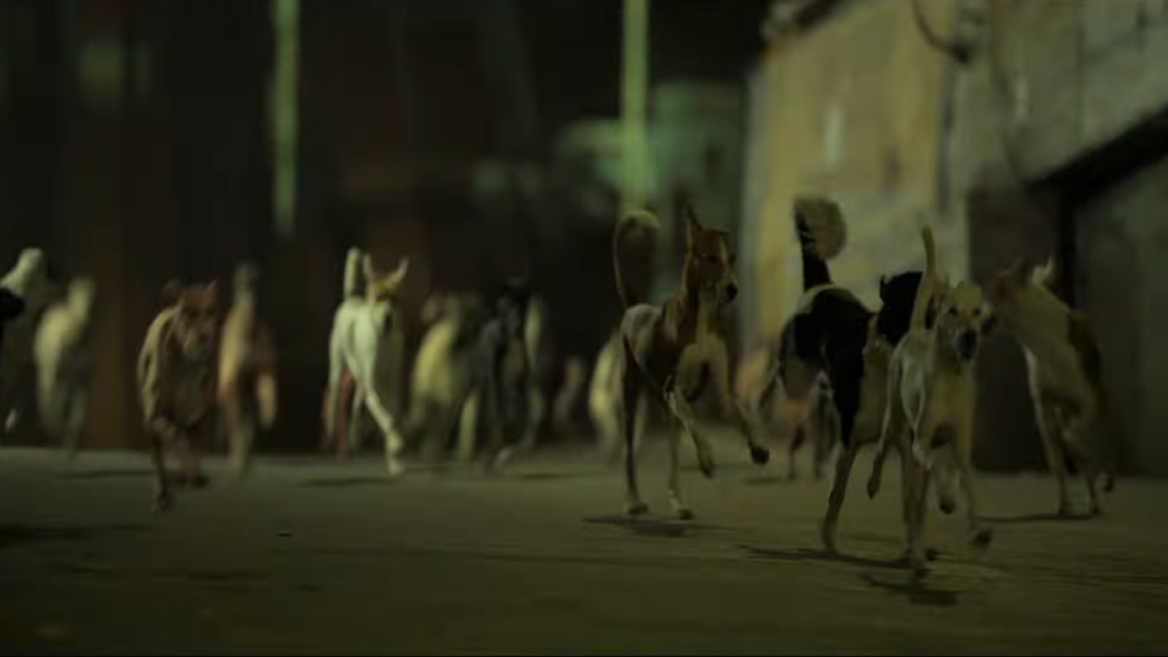 250 से ज्यादा डॉग्स in Ohh My Dog