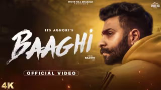 Baaghi Song Poster from Baaghi
