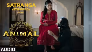 Satranga Stripped Song Poster from Animal