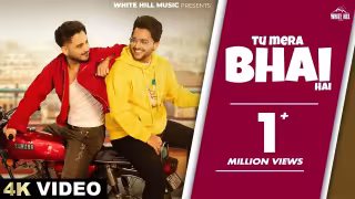 Tu Mera Bhai Hai Song Poster from White Hill Music - Millind Gaba, Ayush Talniya